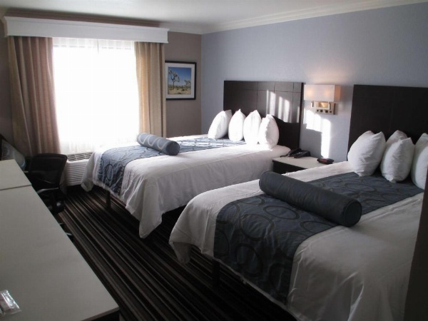 Best Western Plus Diamond Valley Inn image 22